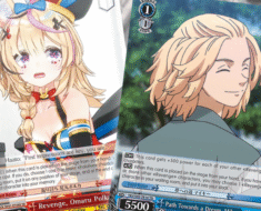 How To Protect Your Weiss Schwarz Card Collection?